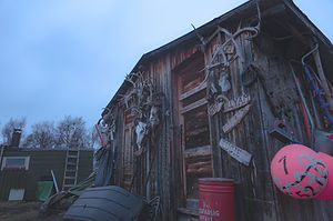 _DSC0152-2.jpg