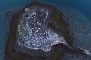 DJI_0010.jpg