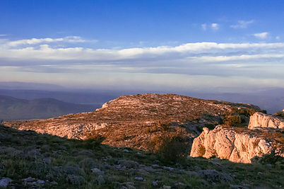 _DSC3576.jpg