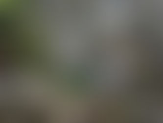 Die Kunst des Nichtstuns: Entdecke die Kraft des "Niksen"