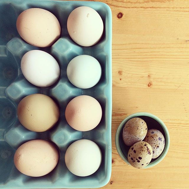 Des cocos frais bio, ramassés ce matin par notre grand Eliott, presque 13 ans, qui s'est trouvé un p