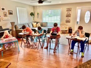 So You Are Homeschooling Now!  