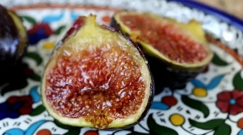 Burgan Unk Fig Tree | Ross Raddi