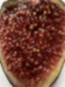 Thumbnail: Blue Slough Fig Tree