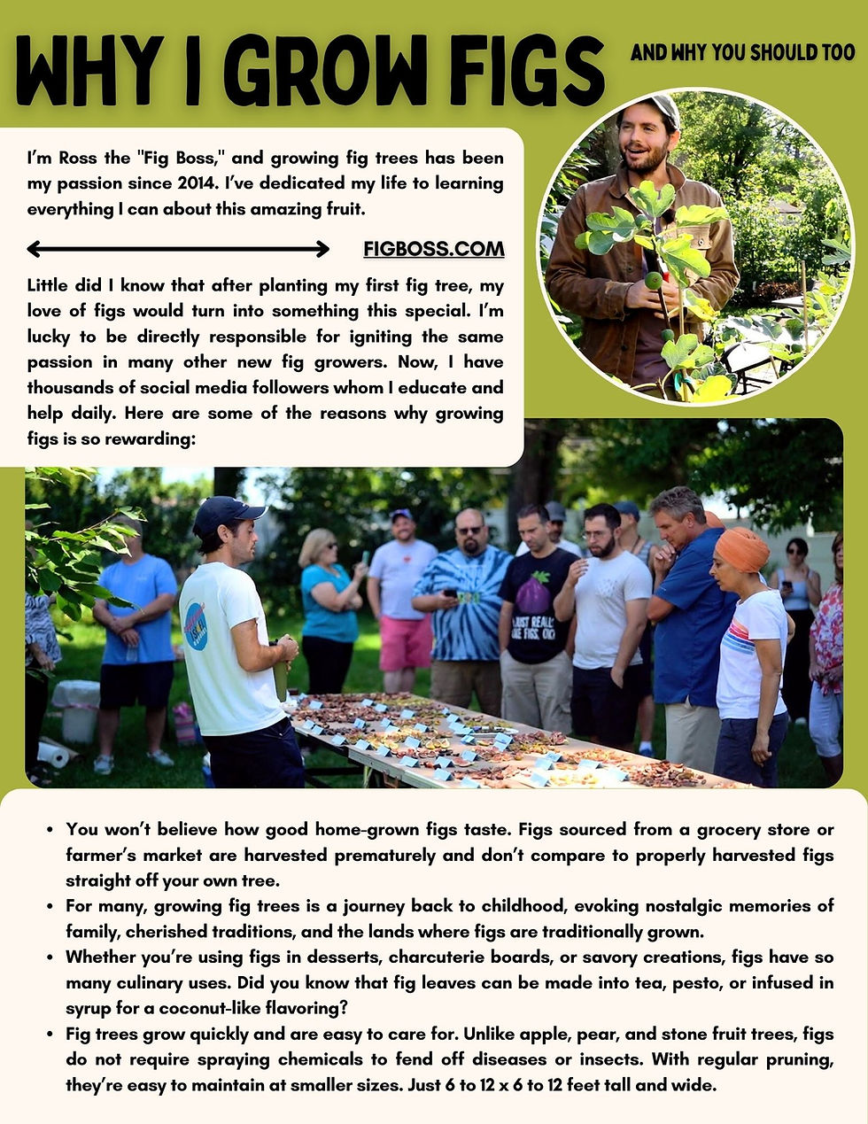 Thumbnail: Fig-ure It Out: Choosing a Fig Variety