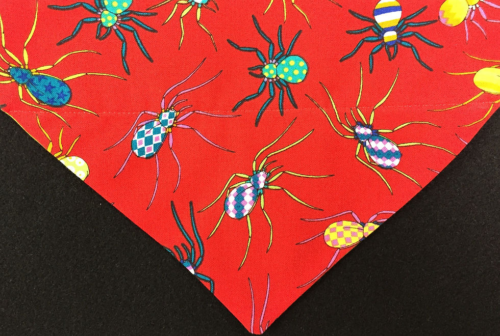 Spooky Spiders