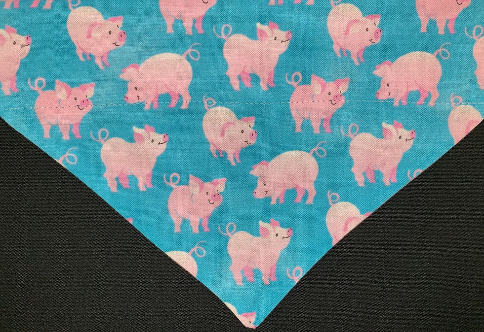 Piggies