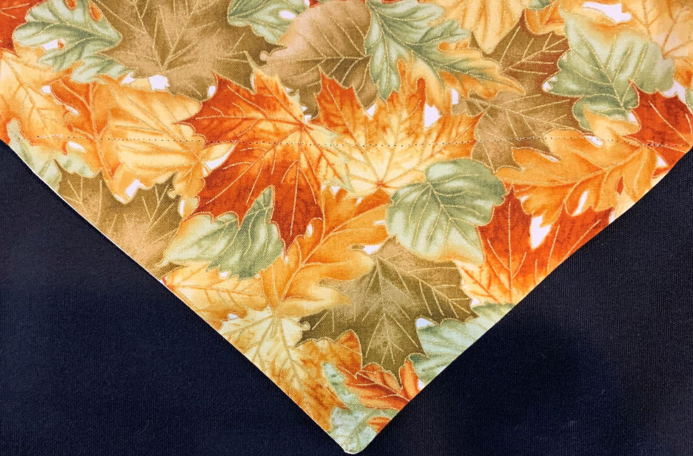 Multi Color Leaves