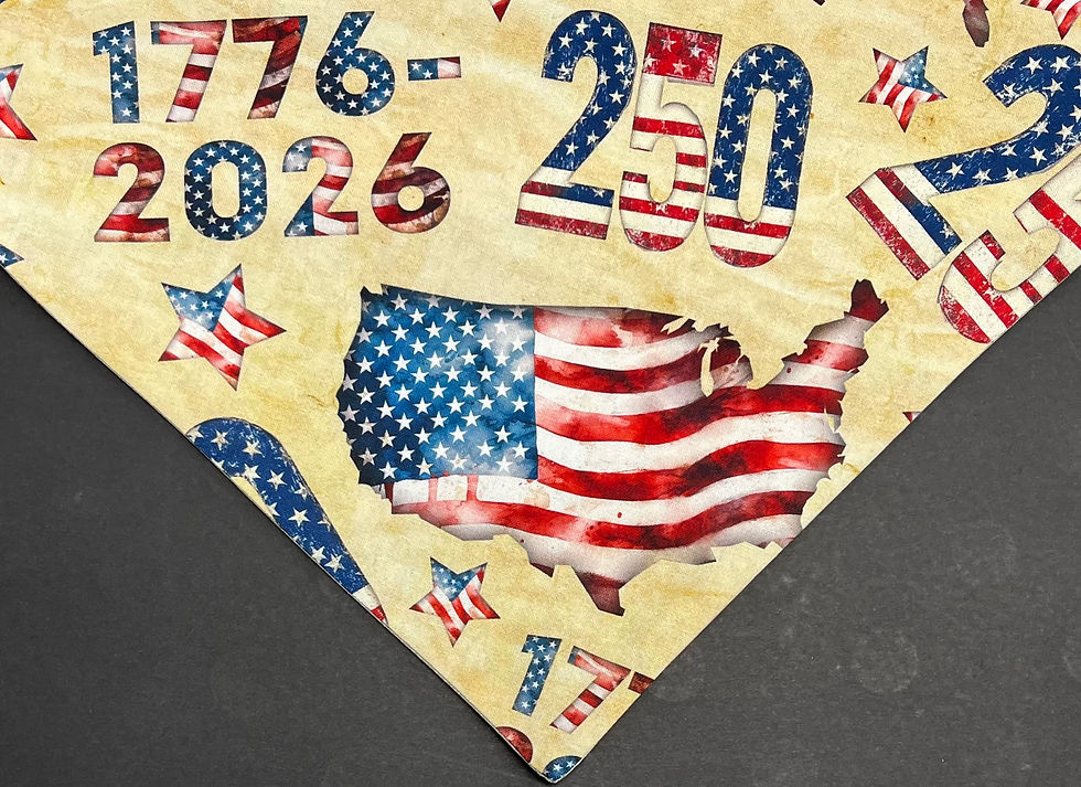 Thumbnail: America 250 Semiquincentennial