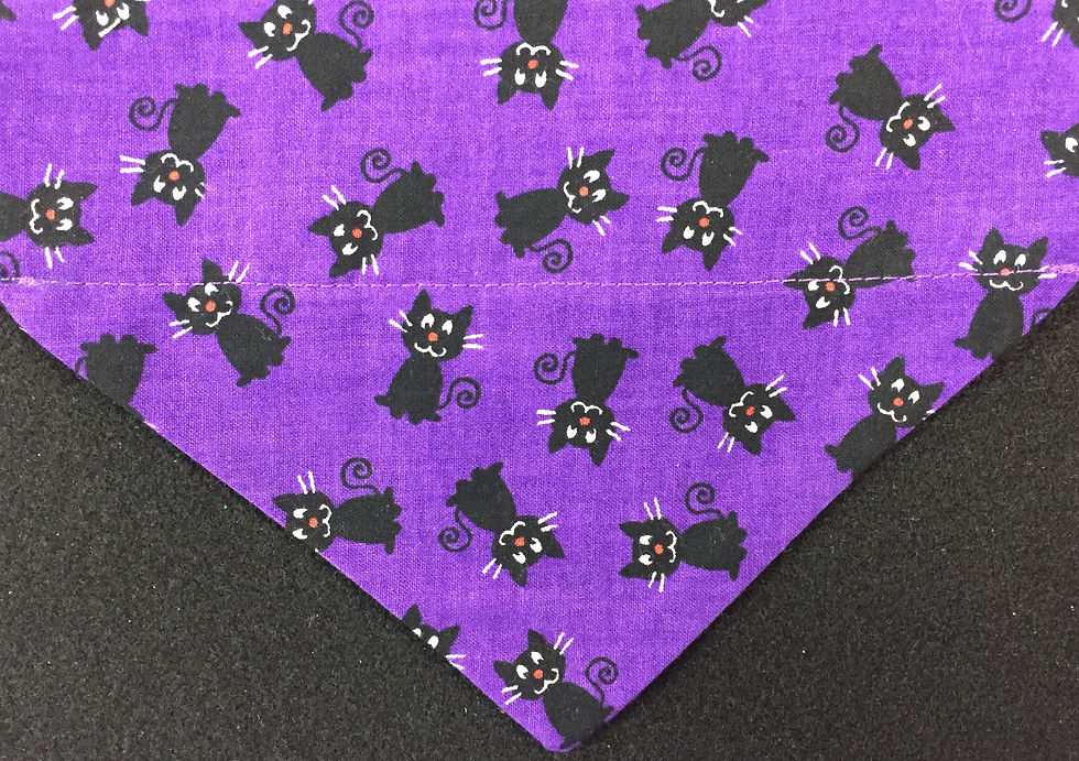 Cats on Purple