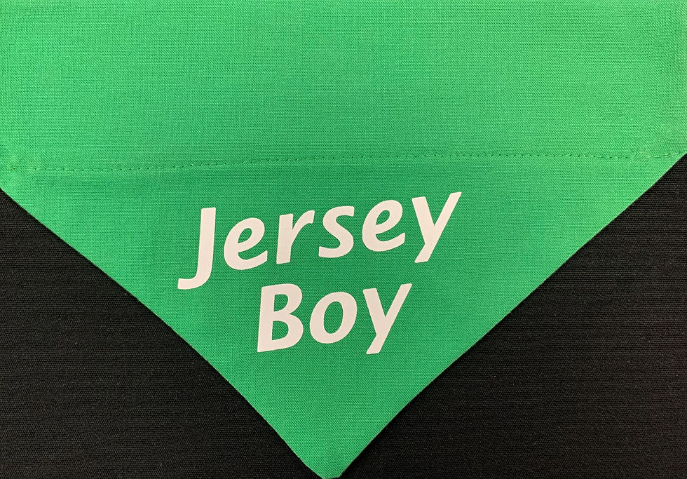 Thumbnail: Jersey Boy