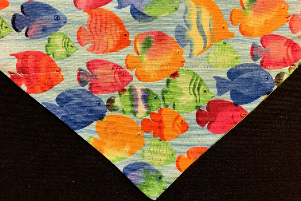 Fish