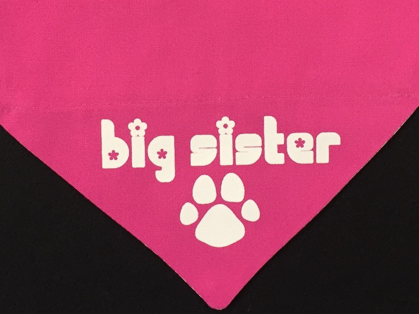 Big Sister - Pink