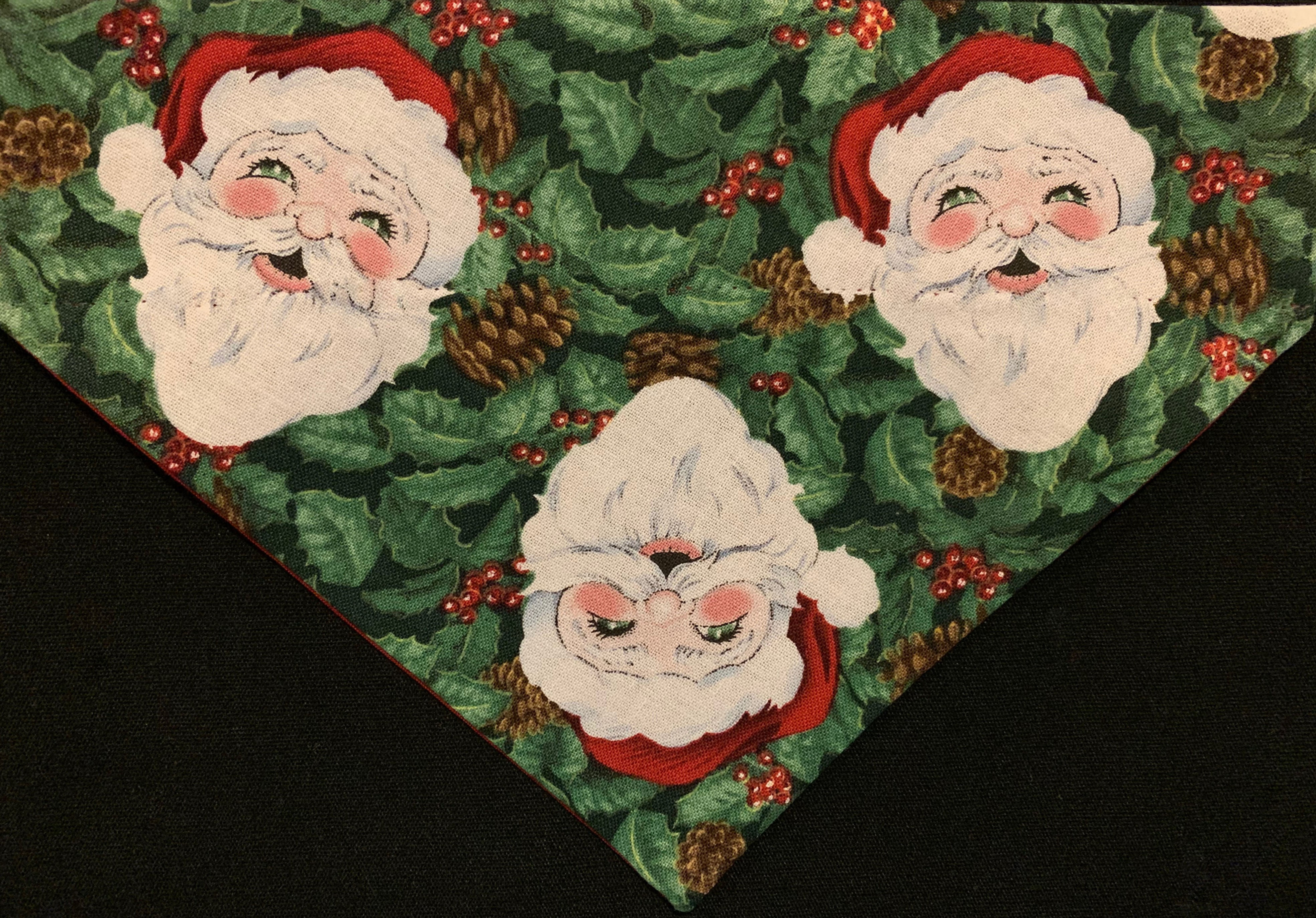 Santa Clause with Holly and Ivy