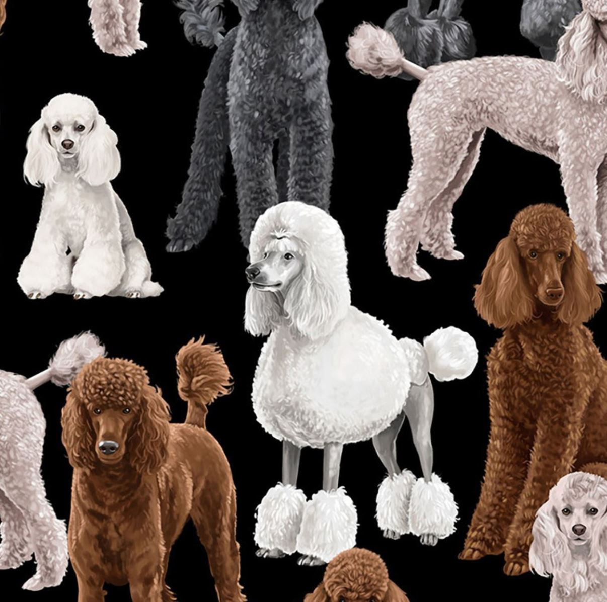 Poodles