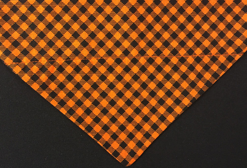 Halloween Checks