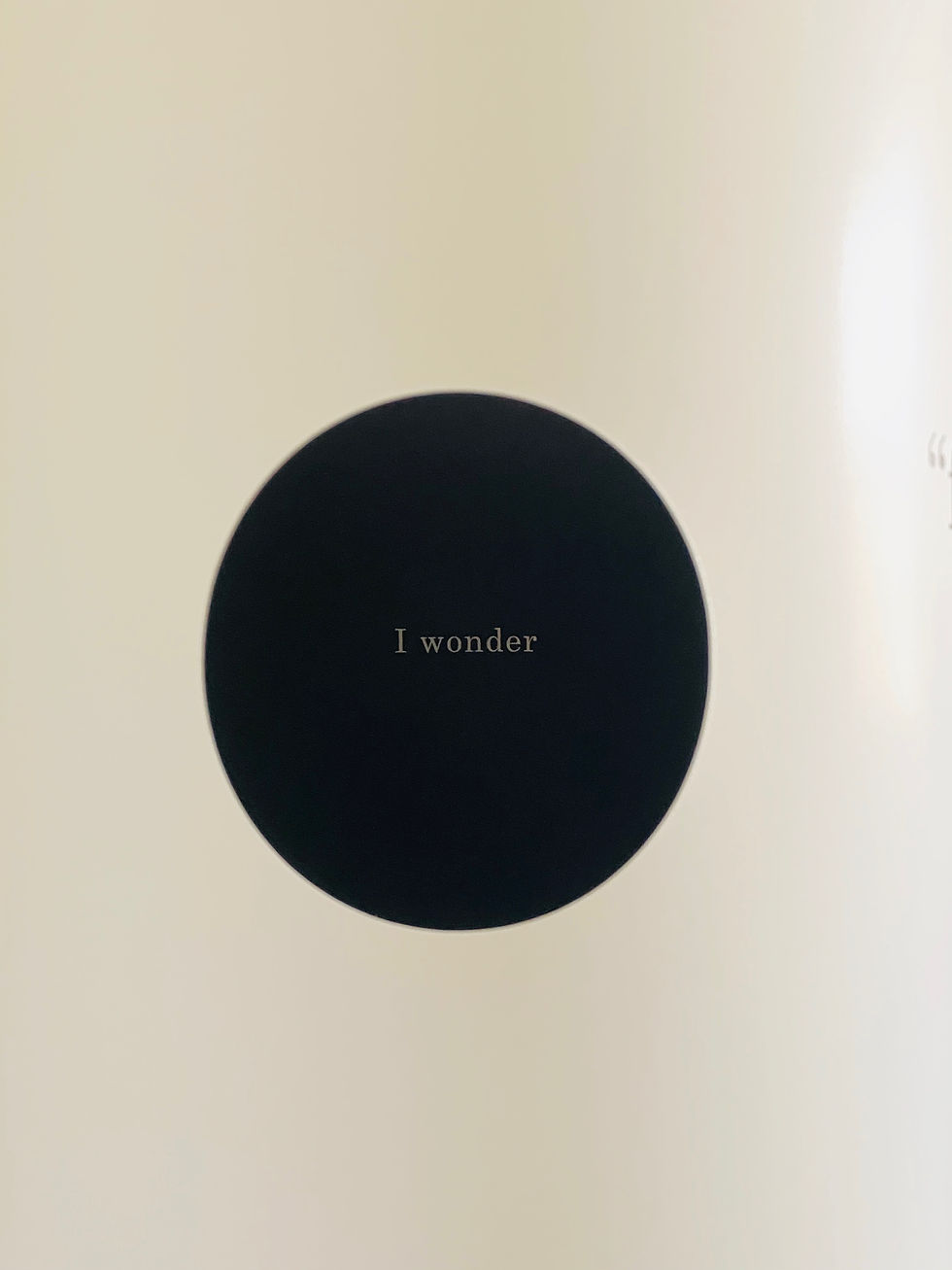 " A BOOK WITHOUT ILLUSTRATIONS OR CONVERSATIONS "