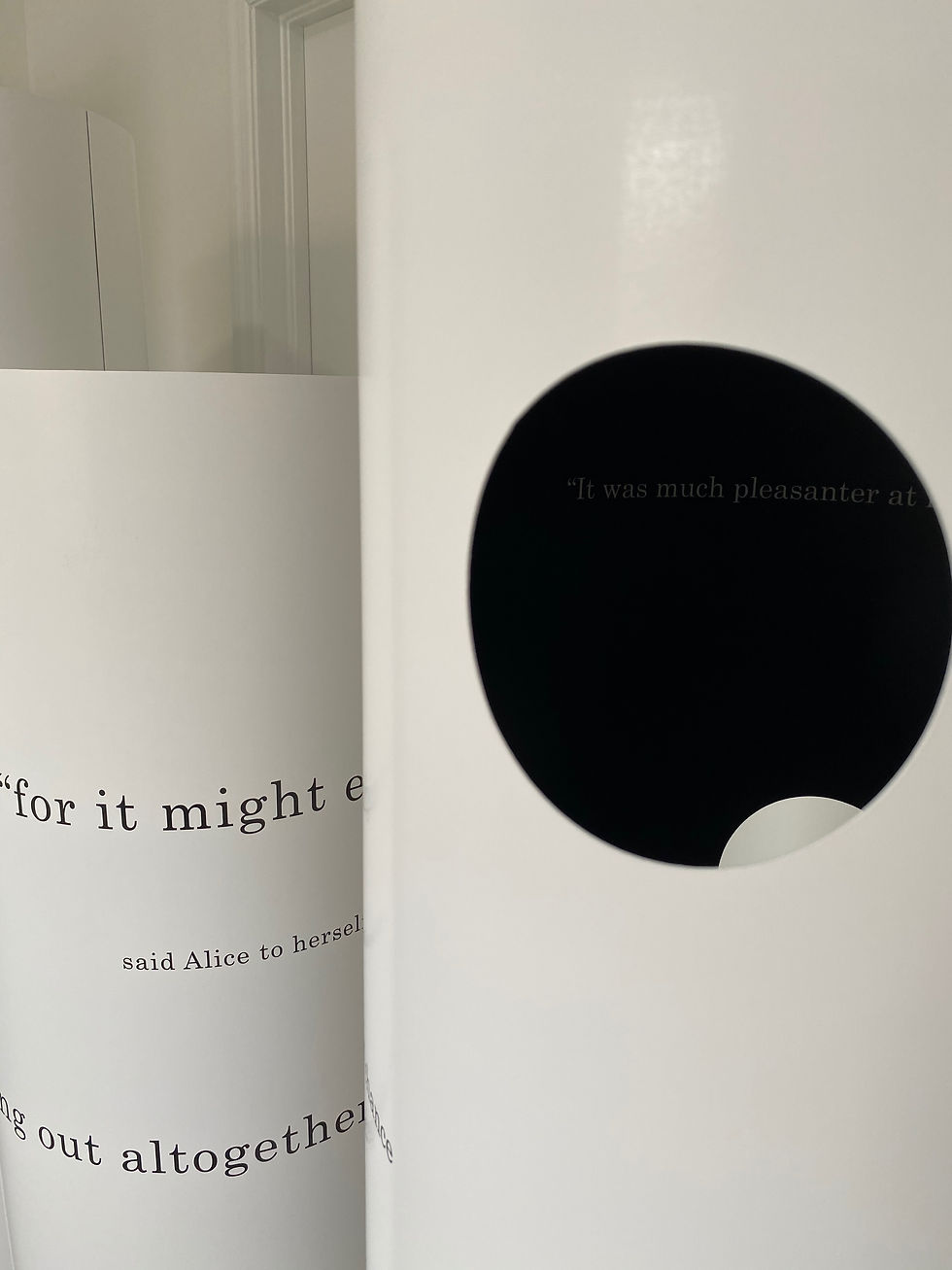 " A BOOK WITHOUT ILLUSTRATIONS OR CONVERSATIONS "