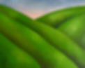 California_Rolling_Hills_Sunset.jpg