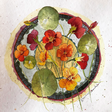 Nasturtiums