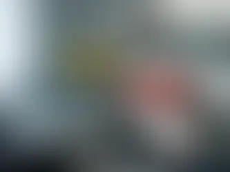 Hur förvarar man samlarmodeller säkert?