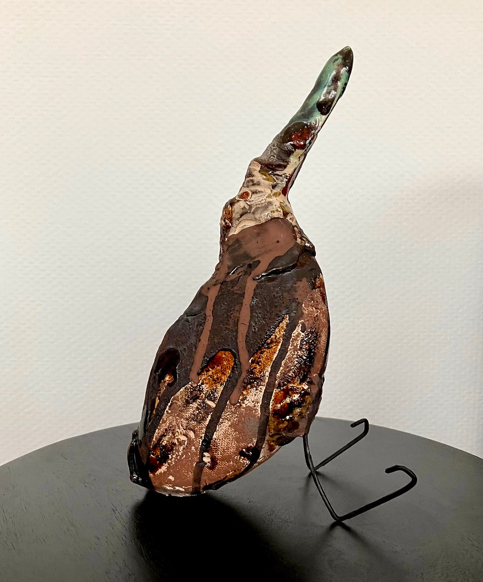 Frederique SELVA   ceramiquesdefred