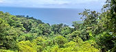 IMG-20210411-WA0022.jpg