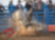 516397492_10161178433762245_3164796050882296075_n.jpg