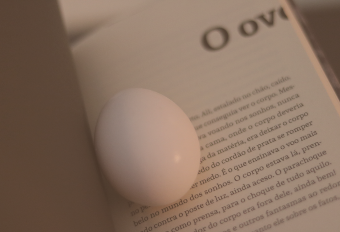 N(ovo): o universo de Thiago de Barros