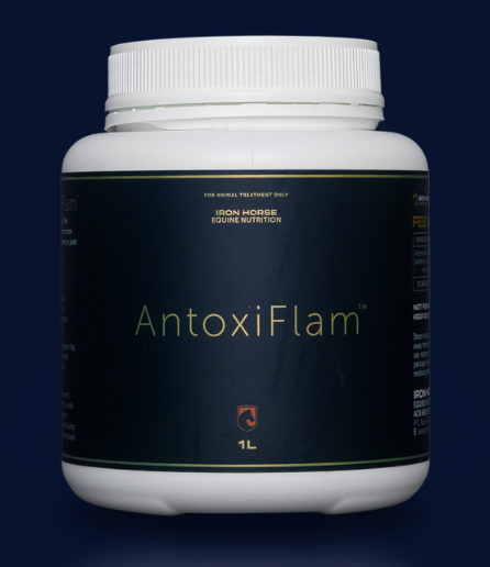 Iron Horse AntoxiFlam 1lt