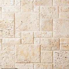 Coral Stone Sample
