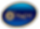 аморе лого (1).png