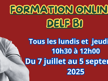 Programme de formation DELF B1 en ligne – 9 semaines - Juillet / août 2025 - Programme complet (9 semaines / 18 cours)