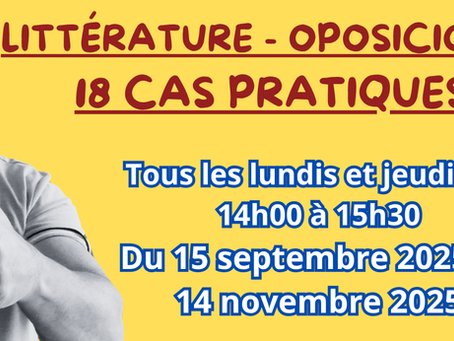 Cas pratique Lecture Marc Levy -L'homme aux cerfs-volants - Formation littérature (partie 2)