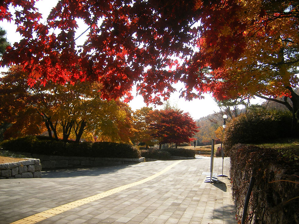 청주국립박물관