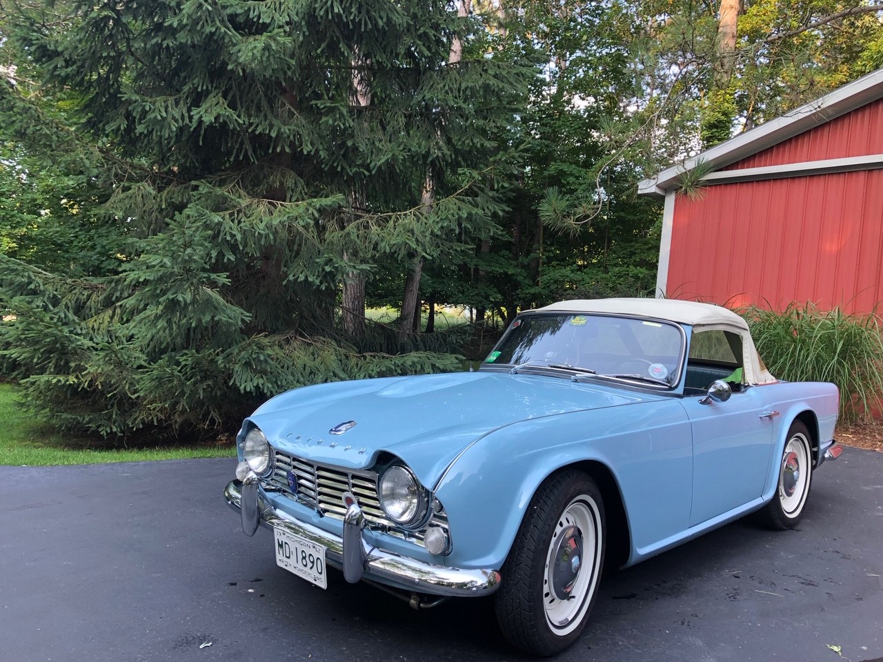 triumph gtx plus buggy