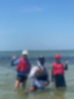 playing in water in Tampa Bay