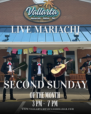 Vallarta Mariachi-12.png