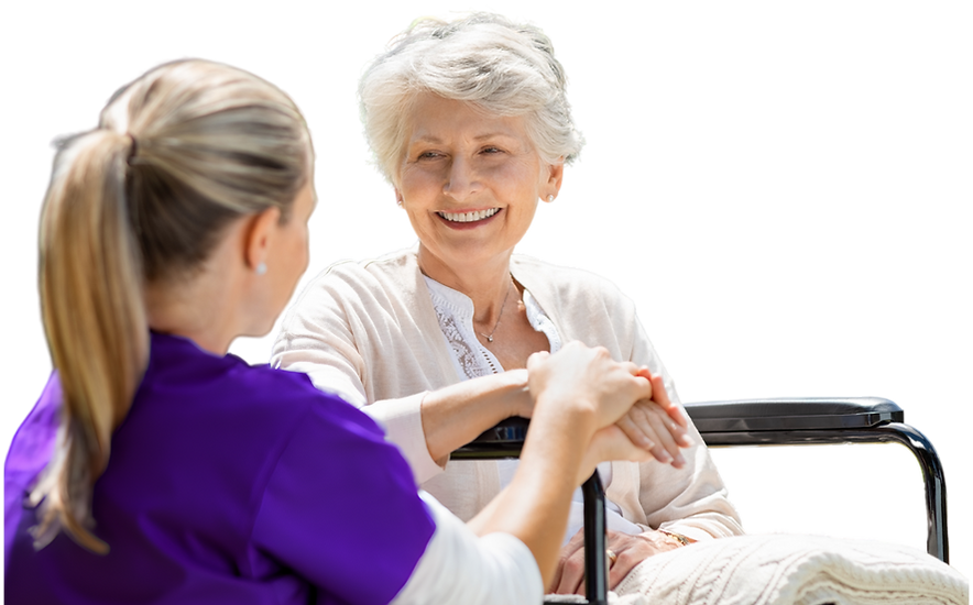 15 - transparent.png