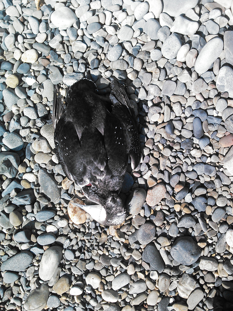 2015_03_02 15_20_31.jpeg