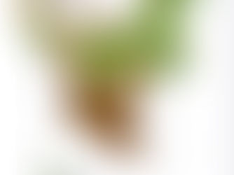 レディ・ローズマリー・オイルスピル(第3報)