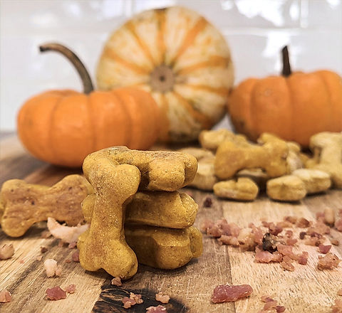 Peanut Butter, Pumpkin, Bacon Mini Bites ConnorsCanineCookies