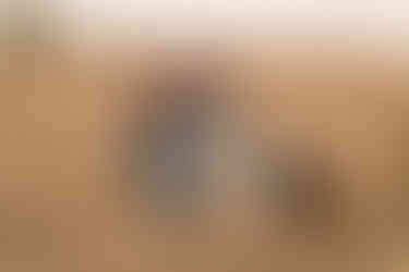 candid pictures of a family in a outdoor field