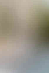 Bride and groom holding hands outdoors during a wedding photoshoot in a garden