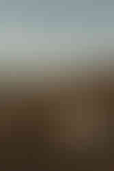 Pregnant woman standing on the shoreline during a maternity beach session