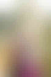 Children running and playing with their parents during an outdoor lifestyle photoshoot