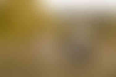 Candid family moments captured outside, with natural light and greenery in the background