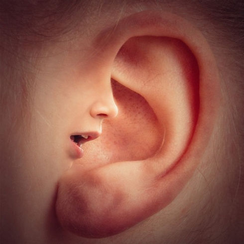 Oreille-5.jpeg