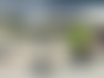 The Lukashenko Hijacking: More than Meets the Eye