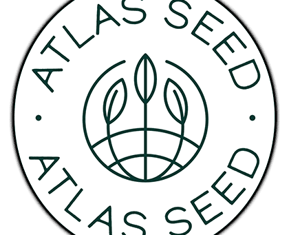 An In Depth Look at Atlas Seeds | Ozzy Genetics: Cannabis Seeds Australia